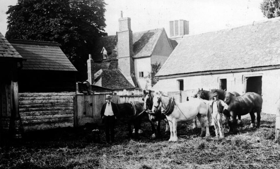 Robert Davis with the horses
