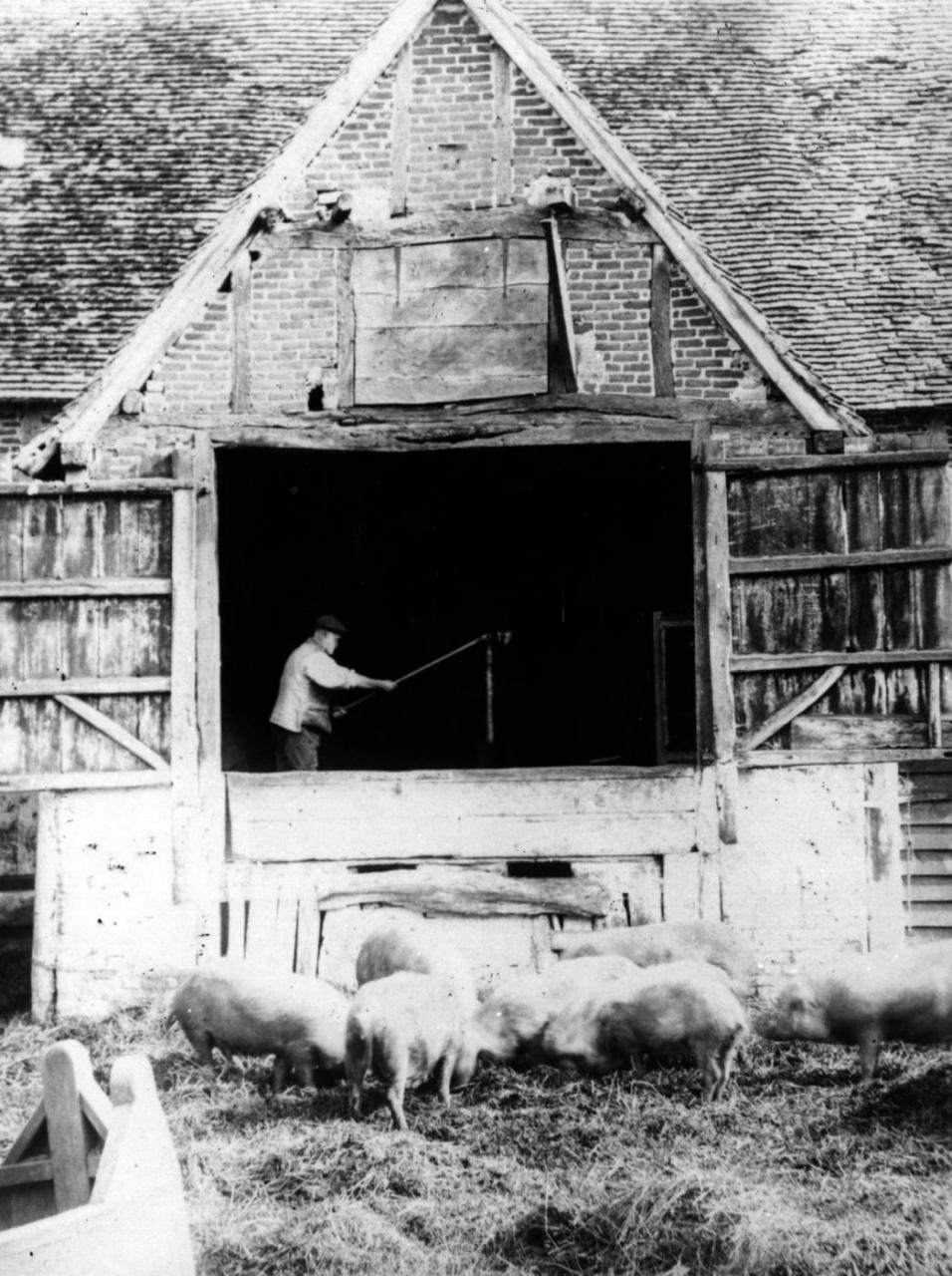 The threshing barn with a person using a flail to thresh the wheat.