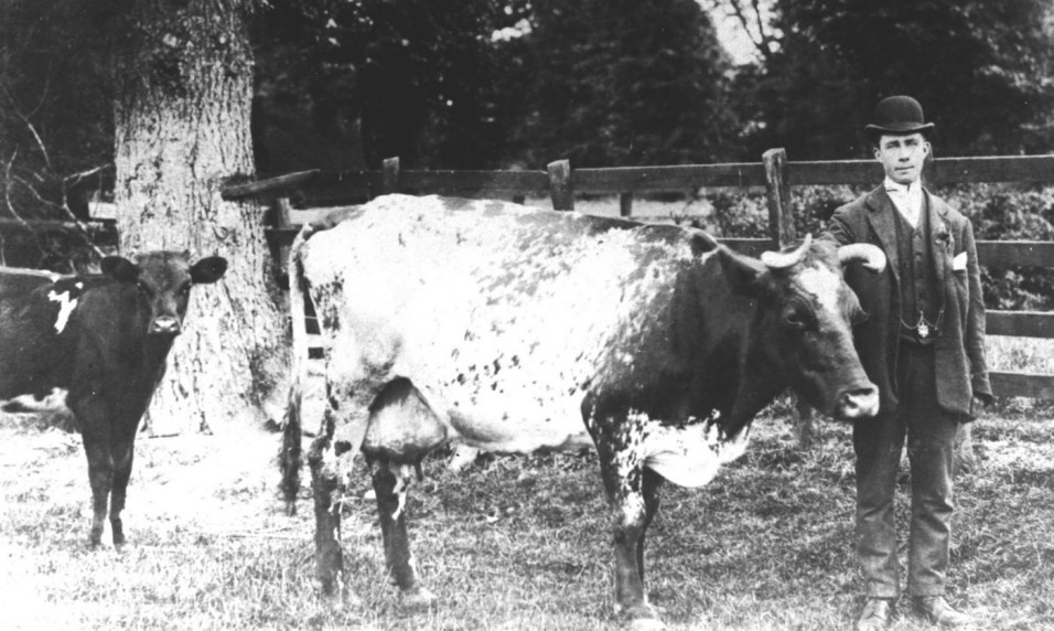 Bob Males did occasional work at Walnut Tree Farm