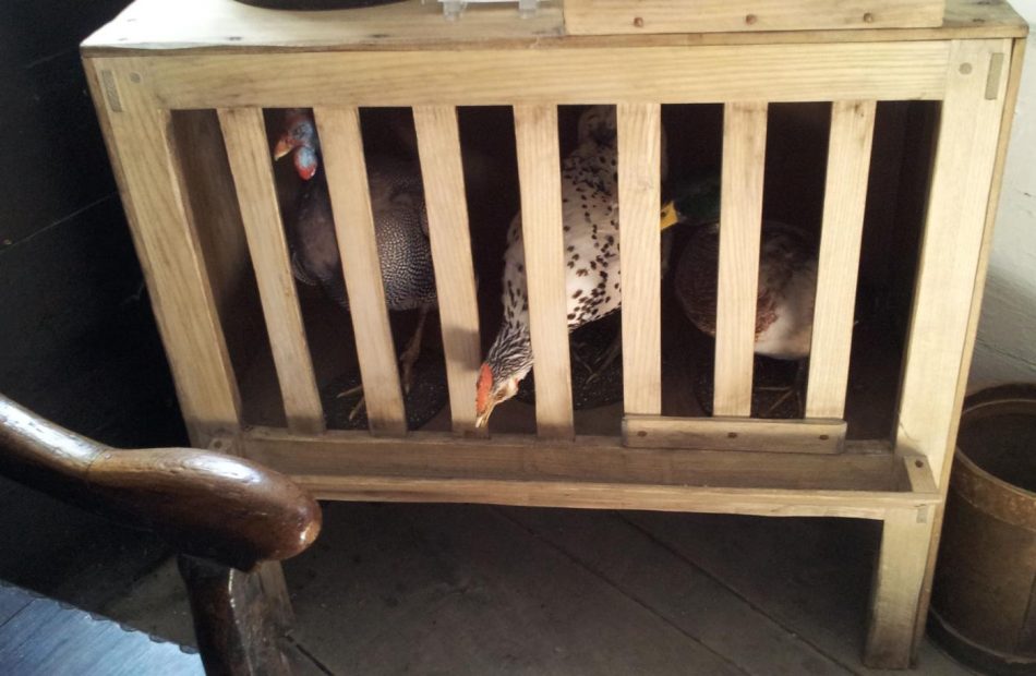 A hen pen.
