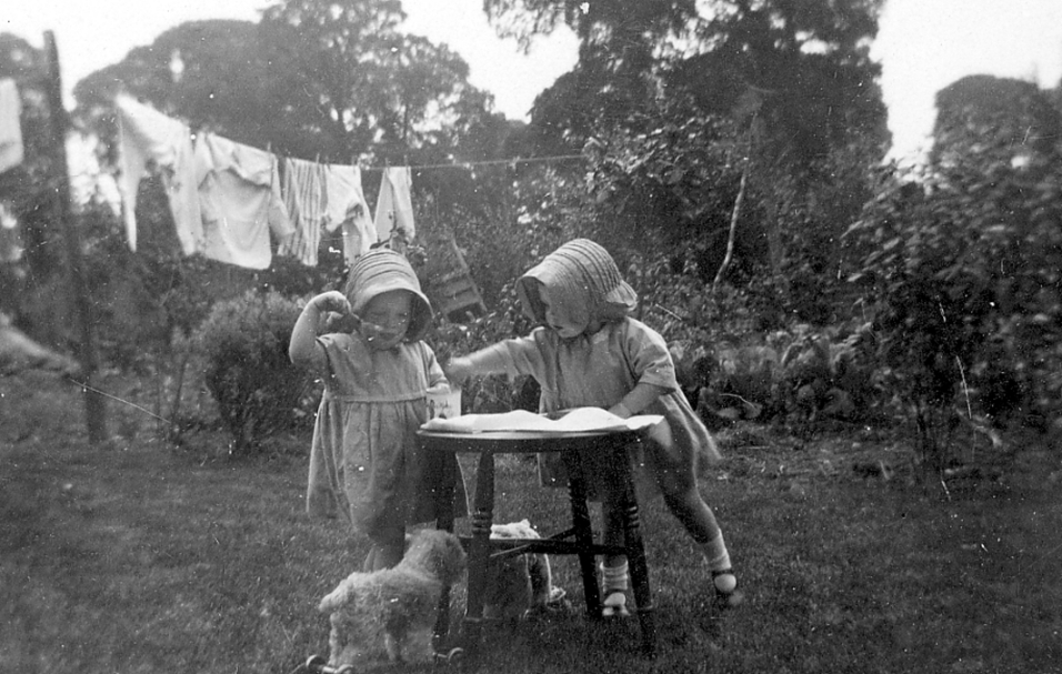 In the garden