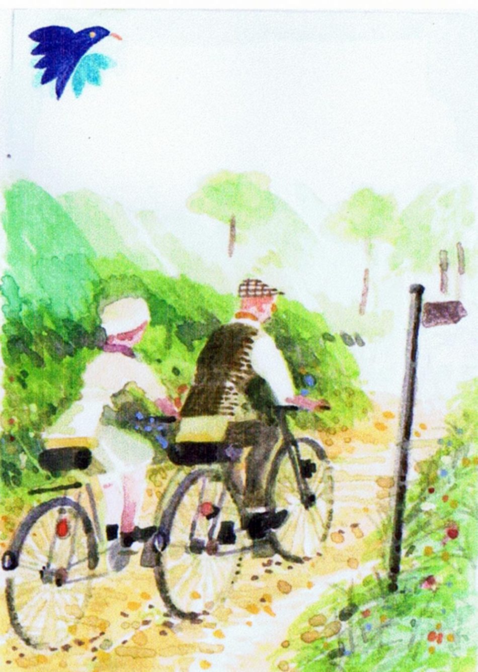 Cycling for pleasure and to get to work